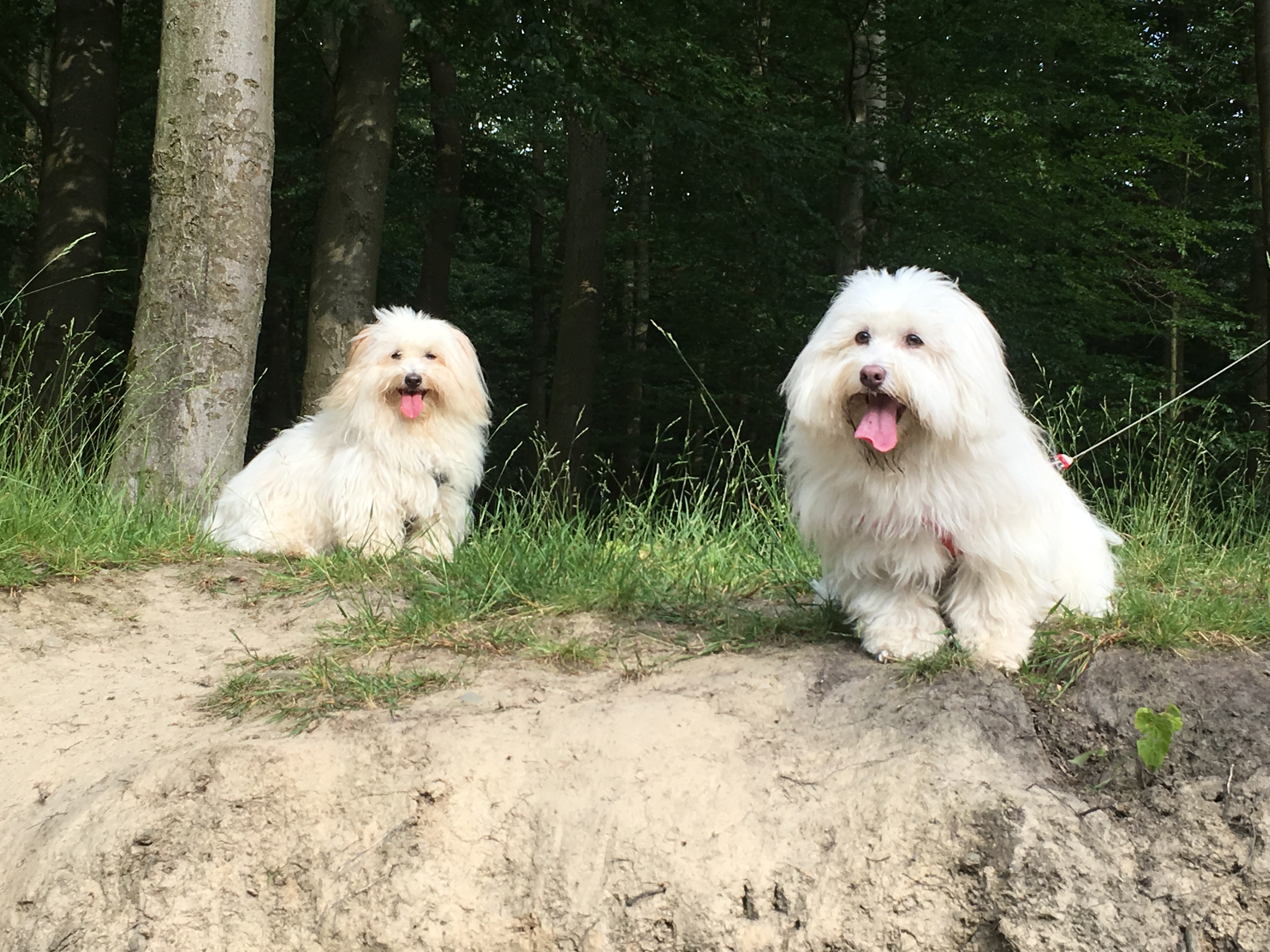 [Bild mit Maja]